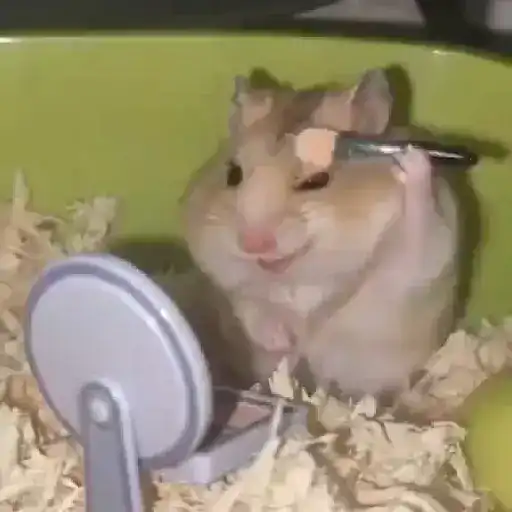 Hamster Maquiando 🐹 TikTok 📱 3