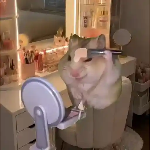 Hamster Maquiando 🐹 TikTok 📱 6