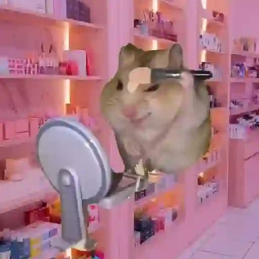 Hamster Maquiando 🐹 TikTok 📱 8
