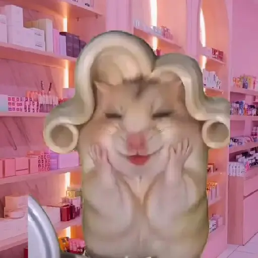 Hamster Maquiando 🐹 TikTok 📱 9