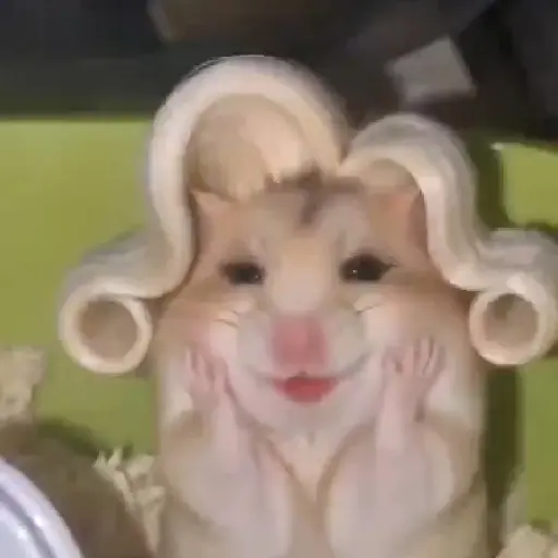 Hamster Maquiando 🐹 TikTok 📱 14