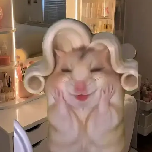 Hamster Maquiando 🐹 TikTok 📱 7