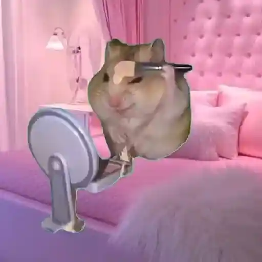 Hamster Maquiando 🐹 TikTok 📱 12