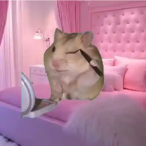 Hamster Maquiando 🐹 TikTok 📱 13