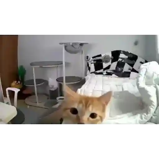 Random mov 1