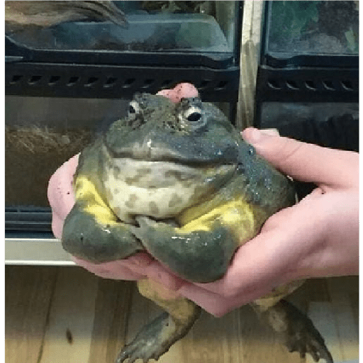Mmm 2