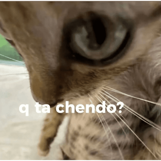 Eto e serio 16