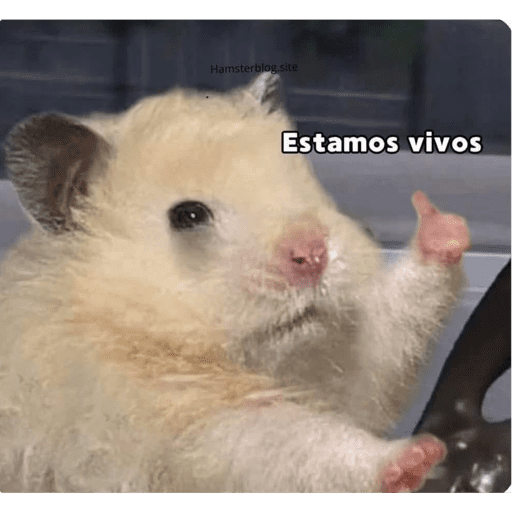Eto e serio 5