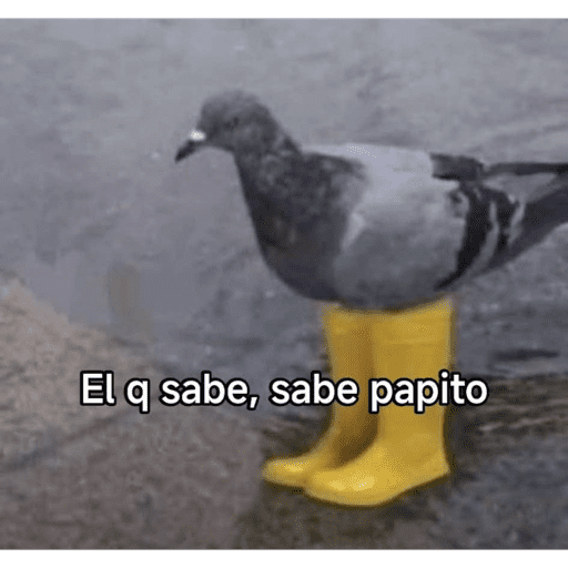 Eto e serio 11