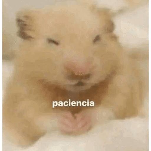Eto e serio 14