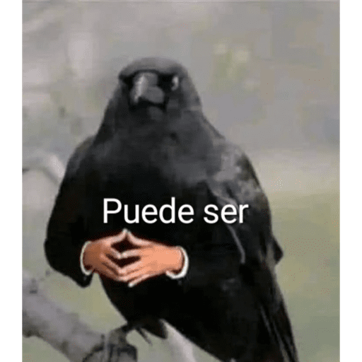 Eto e serio 13