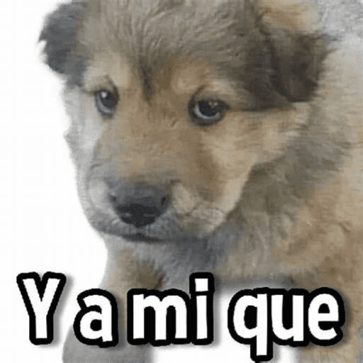Eto e serio 9