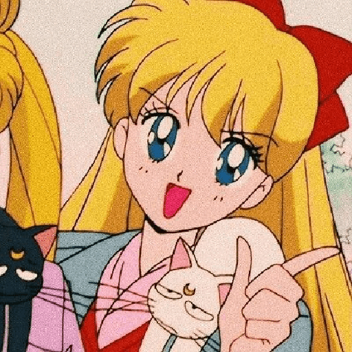 Sailor Venus 3
