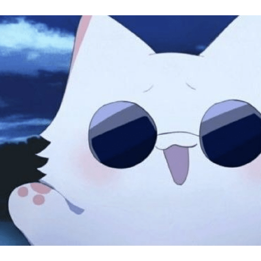 Goyo gato XD 4