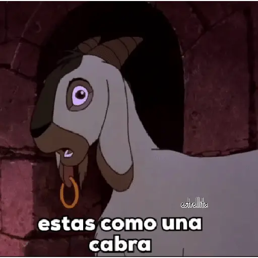 Jorobado 16