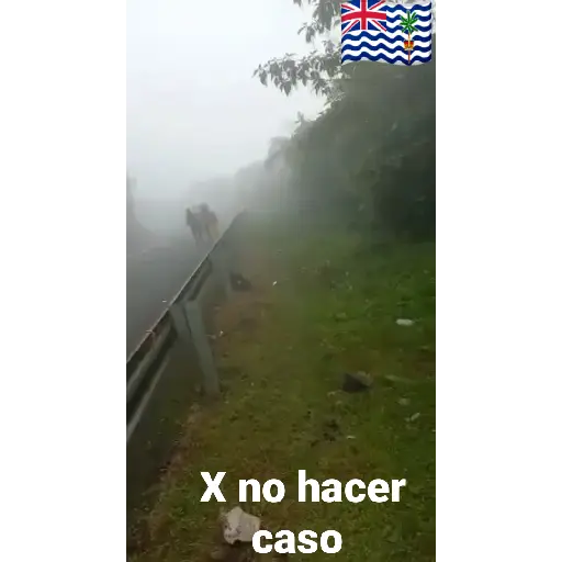 Buenos 1