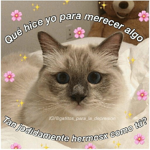 <3.. 3