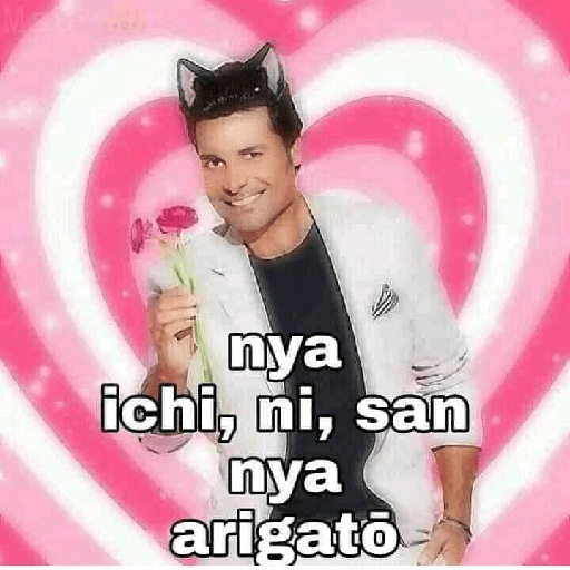 <3.. 16