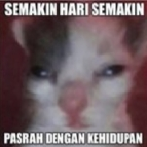 Random 25 18