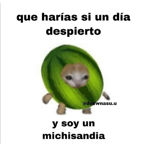 Michi comida 29
