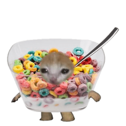 Michi comida 8
