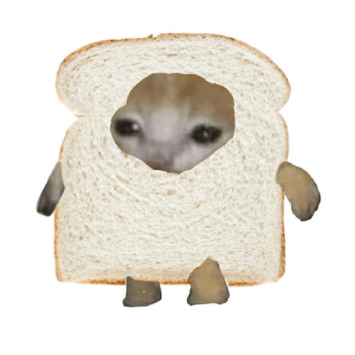 Michi comida 20
