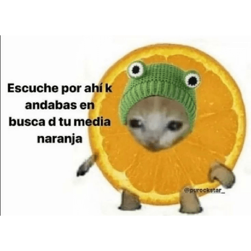 Michi comida 28