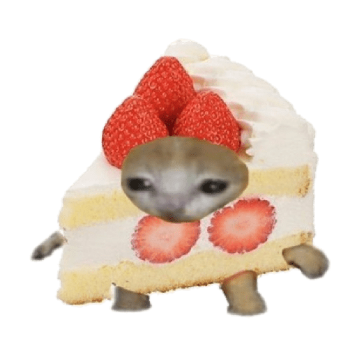 Michi comida 21