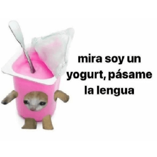 Michi comida 27