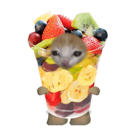 Michi comida 11
