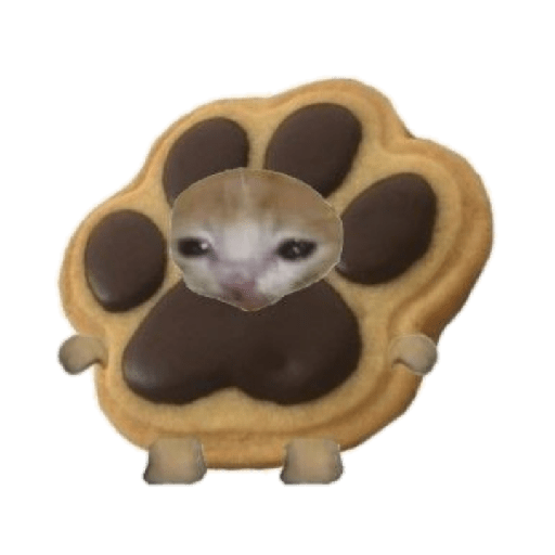 Michi comida 2