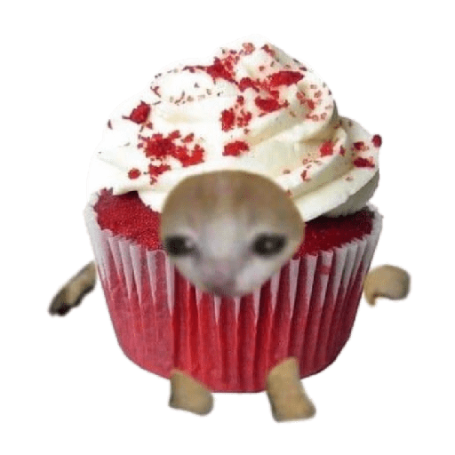 Michi comida 1