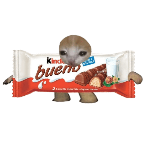 Michi comida 22