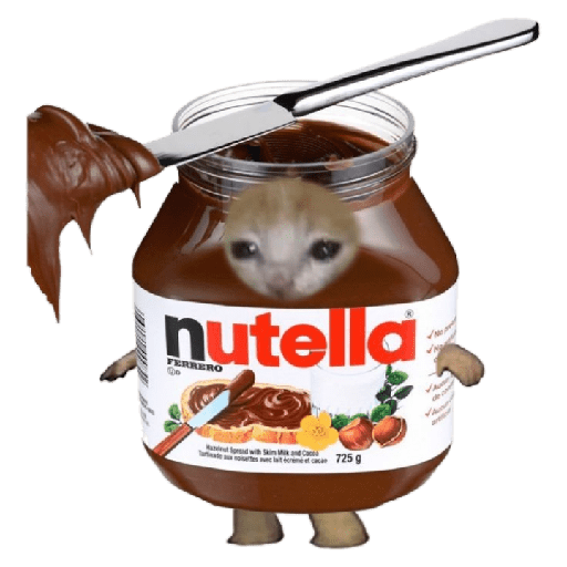 Michi comida 6