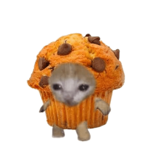 Michi comida 13