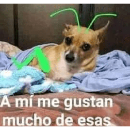 Stickers pa la banda 26