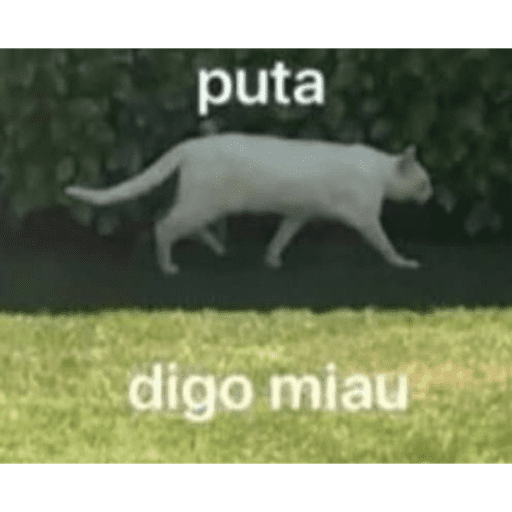 Yopyop 6