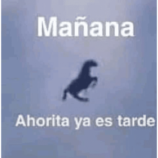Yopyop 25