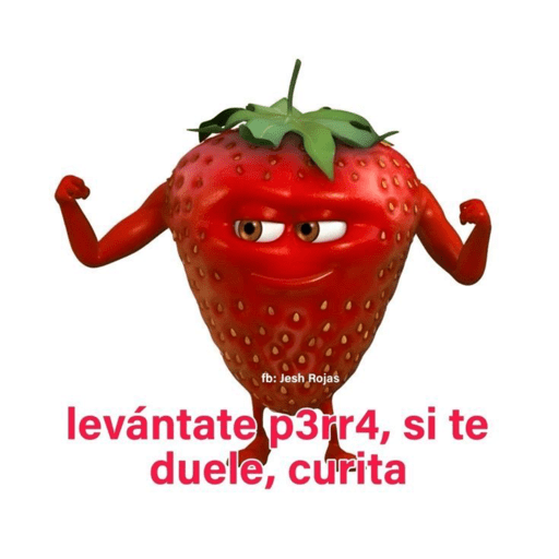 Yopyop 4