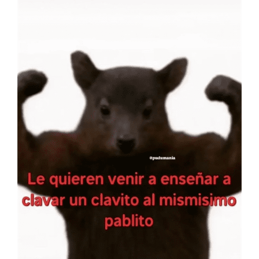 Yopyop 18