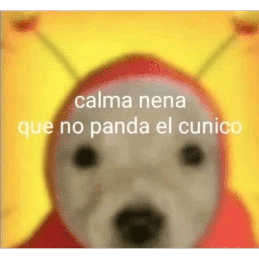 Yopyop 24