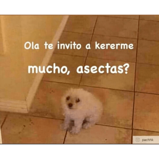 Memes random prt. 9 14