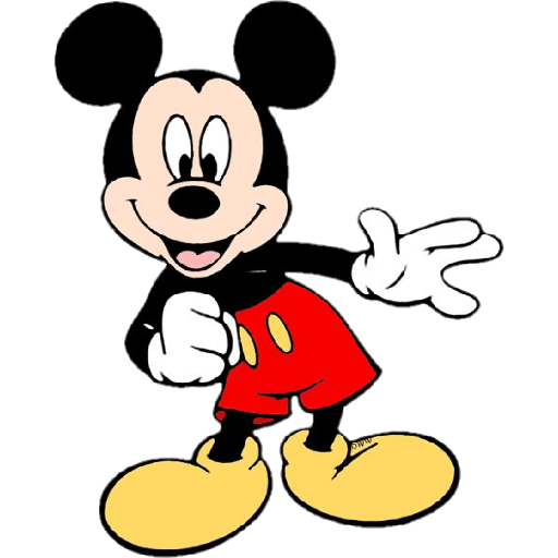 MICKEY 29