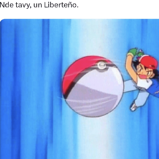 Chompi 14