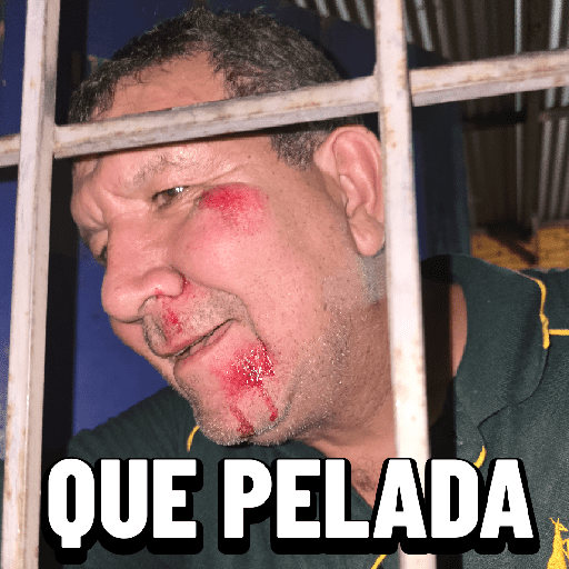 Chompi 1