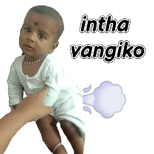 Reshu 13