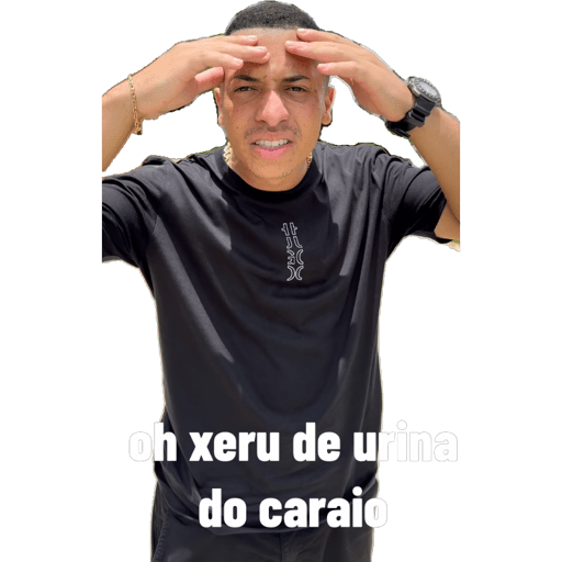Minhas figurinhas