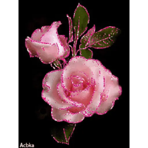 Leão de Judá/Roses 7