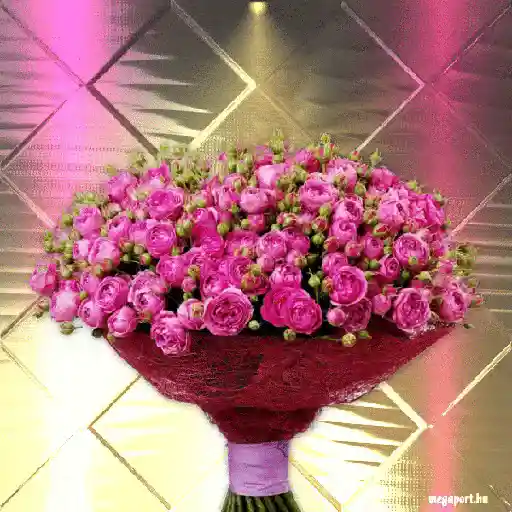 Leão de Judá/Roses 9