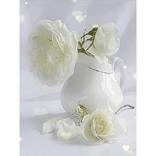 Leão de Judá/Roses 19